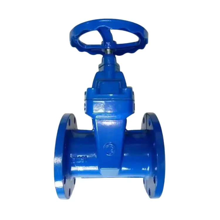 Iron Ductile Iron ที่ปกปิดได้