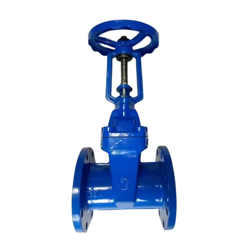 Iron Open Open Open Seal Seal Flange Gate Valve